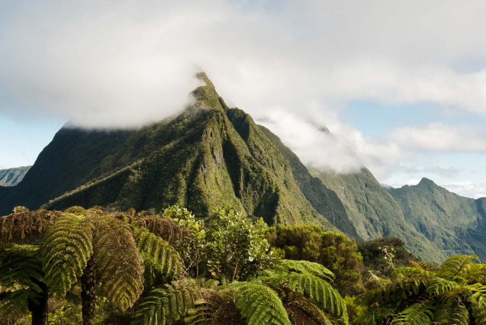 Le cimendef et la roche écrite sur l'île de la réunion. Entre les cirques de Mafate et Salazie